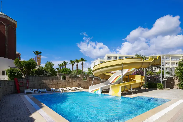 Aktiviteler